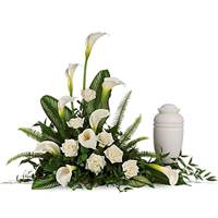 For The Service Image